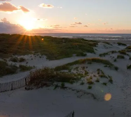 Belle Touquettoise En Foret