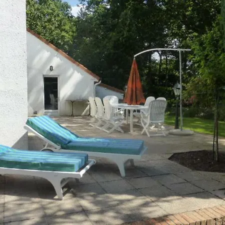 Belle Touquettoise En Foret *