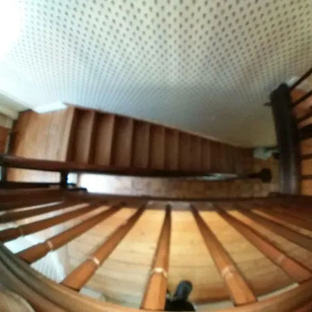 Belle Touquettoise En Foret *