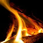 Belle Touquettoise En Foret 别墅 勒图凯－巴黎普拉日