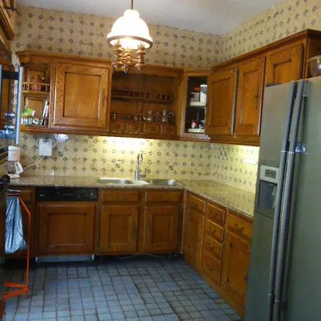 Belle Touquettoise En Foret