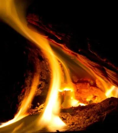 Belle Touquettoise En Foret Villa Le Touquet