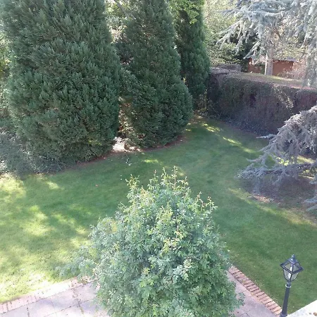 Belle Touquettoise En Foret *