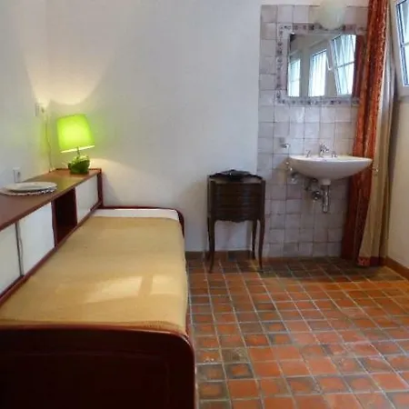 Belle Touquettoise En Foret