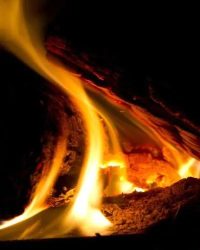 Belle Touquettoise En Foret וילה Le Touquet