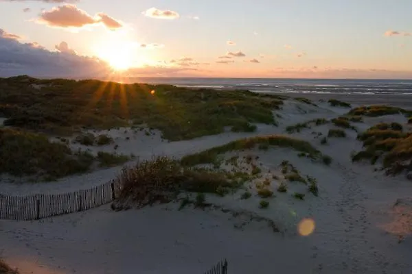 Belle Touquettoise En Foret