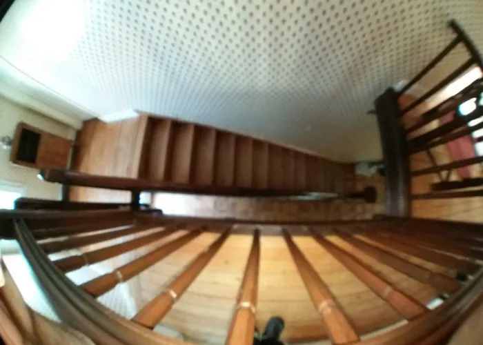 Belle Touquettoise En Foret *